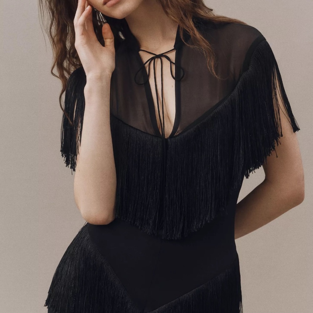De La Vali Tellus Fringed Chiffon Midi Dress - Picture 3 of 5
